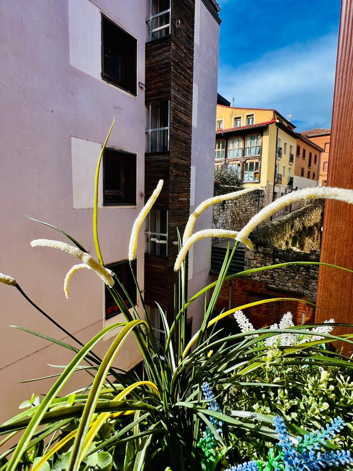 El Capricho De Claudia_ Apartamentos Burgos Catedral Екстериор снимка
